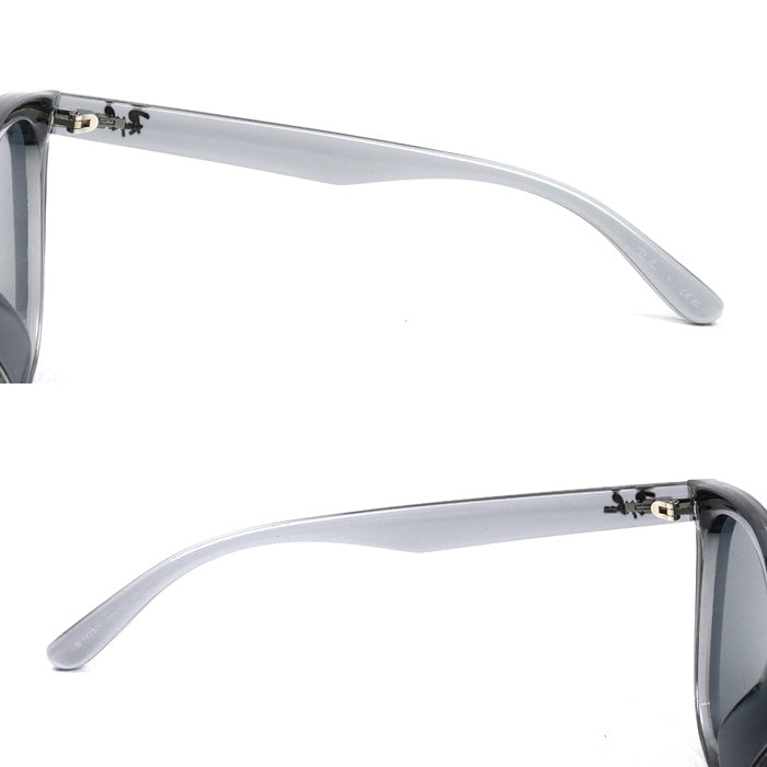 Ray-Ban レイバン サングラス クリアグレー RB4423D 645087 66□15 145 メンズ【中古】【美品】