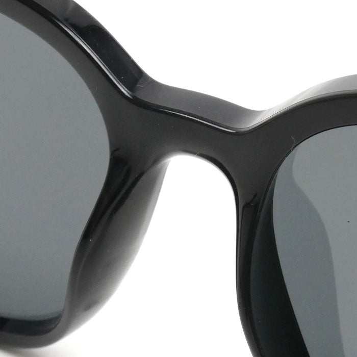 Ray-Ban レイバン トランスペアレント サングラス ブラック RB4423D 601/87 66-15 145 メンズ【中古】【美品】