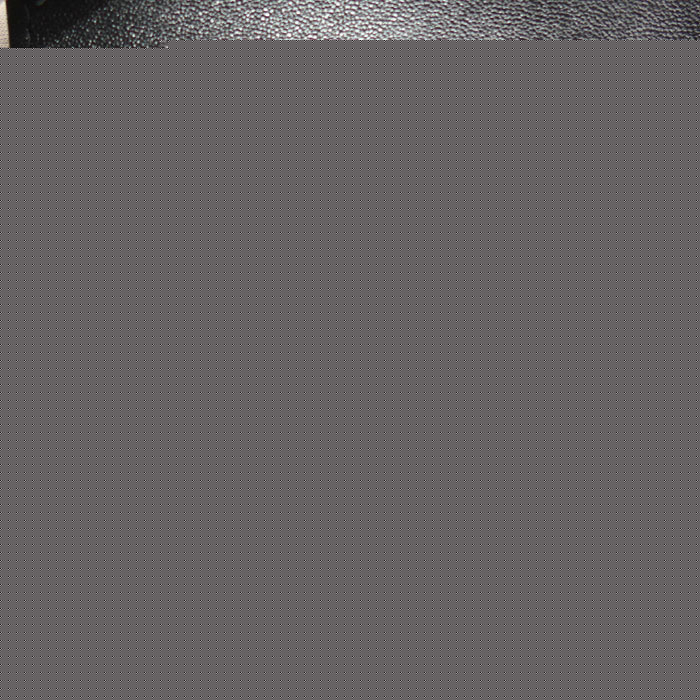 CHANEL シャネル シャネル19 フォンケース ショルダーバッグ ブラック AP1773 B04852 94305 レディース【中古】【美品】