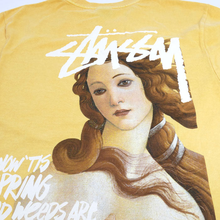 STUSSY ステューシー 長袖Ｔシャツ イエロー RN-94974 CA-28629 M メンズ【中古】