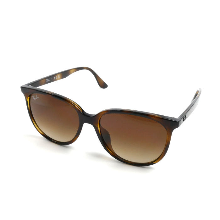Ray-Ban レイバン サングラス ブラウン ハバナ RB4378F 710/13 54□16 145 メンズ【中古】