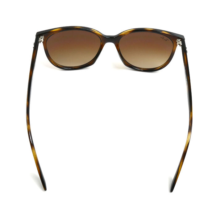 Ray-Ban レイバン サングラス ブラウン ハバナ RB4378F 710/13 54□16 145 メンズ【中古】