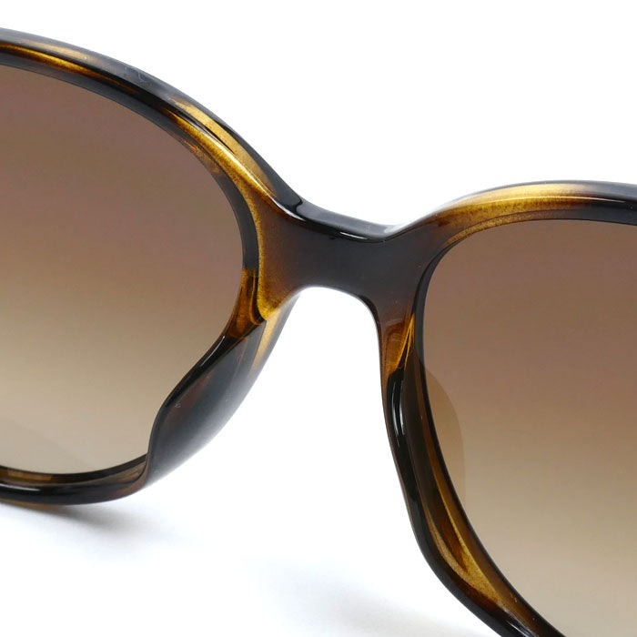 Ray-Ban レイバン サングラス ブラウン ハバナ RB4378F 710/13 54□16 145 メンズ【中古】