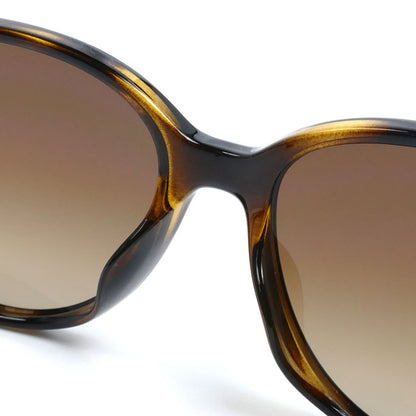 Ray-Ban レイバン サングラス ブラウン ハバナ RB4378F 710/13 54□16 145 メンズ【中古】